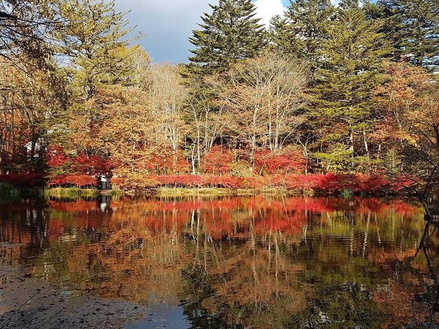 🍁ฤดูใบไม้เปลี่ยนสีที่ Karuizawa-machi 🍁ฤดูใบไม้เปลี่ยนสีที่ Karuizawa-machi