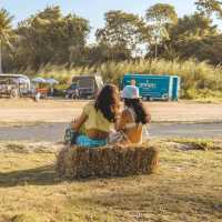 🎶 Get Ready for Wonderfruit Festival Pattaya 2025