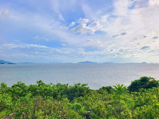 【鳳凰徑第9段~籮箕灣 ⭐】