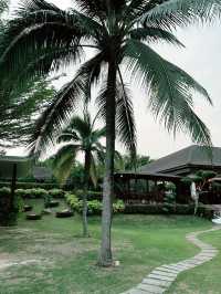 Cyberview Resort & Spa: A Serene Oasis for Total Relaxation