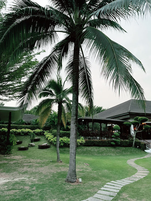 Cyberview Resort & Spa: A Serene Oasis for Total Relaxation
