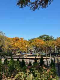 가을을 느끼기 좋은 서울 공원 추천