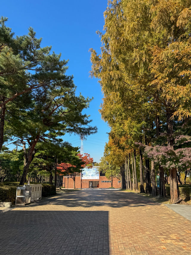 가을을 느끼기 좋은 서울 공원 추천