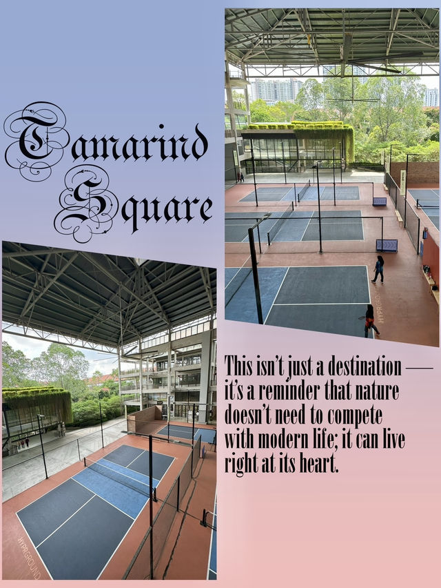 Urban Jungle Diary – 24 Hours at Tamarind Square Urban Jungle Diary – 24 Hours at Tamarind Square