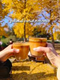 คาเฟ่ดูใบไม้เปลี่ยนสีลับๆในปักกิ่ง🍂☕