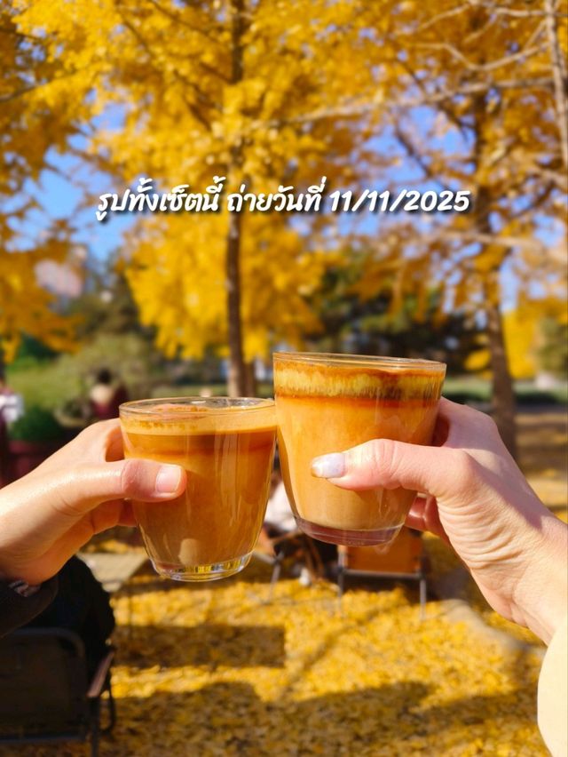 คาเฟ่ดูใบไม้เปลี่ยนสีลับๆในปักกิ่ง🍂☕