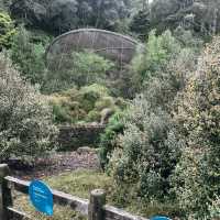 Auckland Zoo: ครึ่งวันที่เต็มไปด้วยความสนุกสนาน