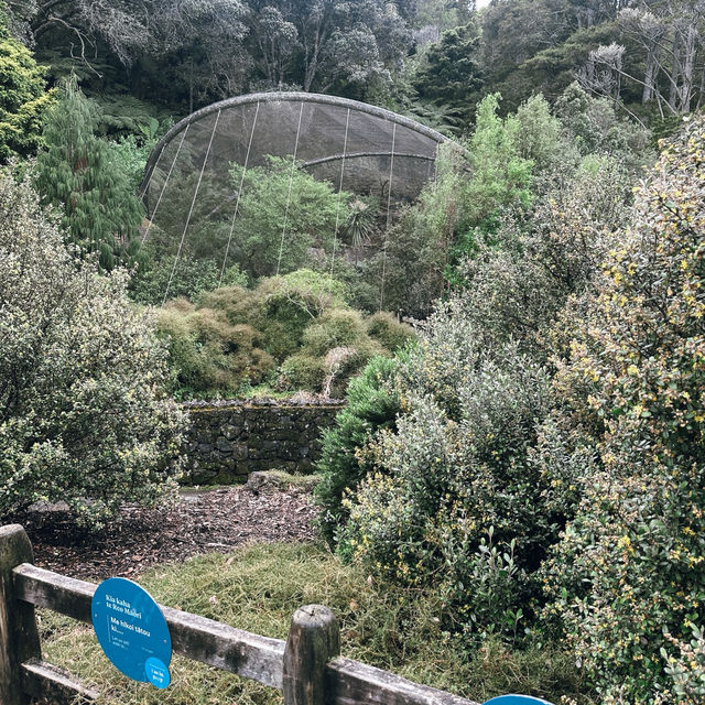 Auckland Zoo: ครึ่งวันที่เต็มไปด้วยความสนุกสนาน Auckland Zoo: ครึ่งวันที่เต็มไปด้วยความสนุกสนาน