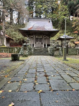 숲에 둘러싸인 힐링 신사 산책