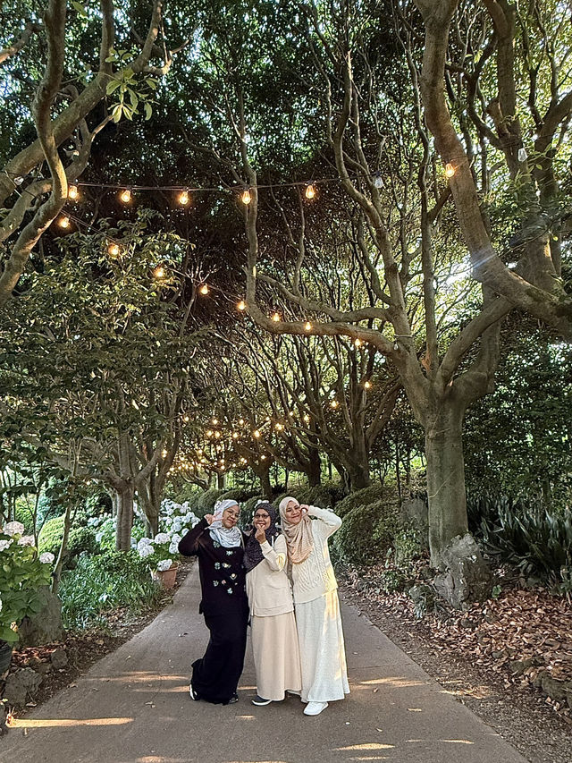 Jeju Garden Glow🌸 Jeju Garden Glow🌸