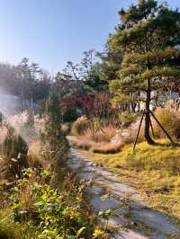 아차산과 워커힐 길을 오가며