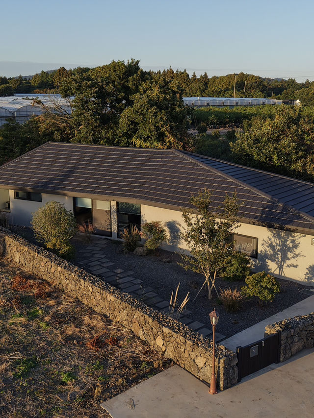 ์ฑ๊ทธ๋ฌ์ด ์์ฐ ์์ ์๋ฆฌ ์ก์ ๊ฐ์ฑ ๋
์ฑ ์คํ
์ด๐ก ์ฑ๊ทธ๋ฌ์ด ์์ฐ ์์ ์๋ฆฌ ์ก์ ๊ฐ์ฑ ๋
์ฑ ์คํ
์ด๐ก