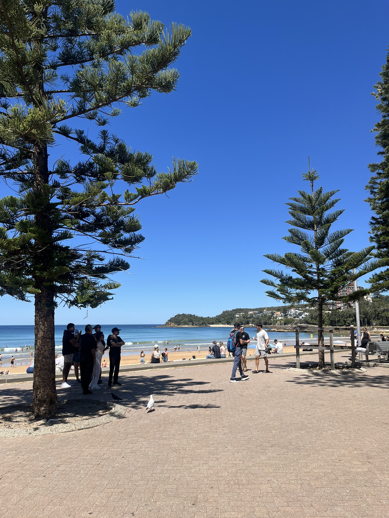 10-day Sydney itinerary