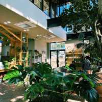 추운 겨울과 더운 여름에도 완벽한 실내데이트, 전주 아열대 식물원