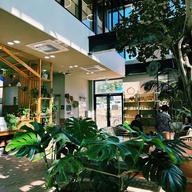 추운 겨울과 더운 여름에도 완벽한 실내데이트, 전주 아열대 식물원 추운 겨울과 더운 여름에도 완벽한 실내데이트, 전주 아열대 식물원