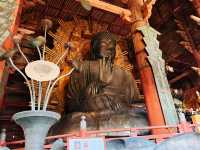 奈良東大寺～穿越千年遇見世界最大木造建築！與鹿共游的佛像奇觀🦌🏯