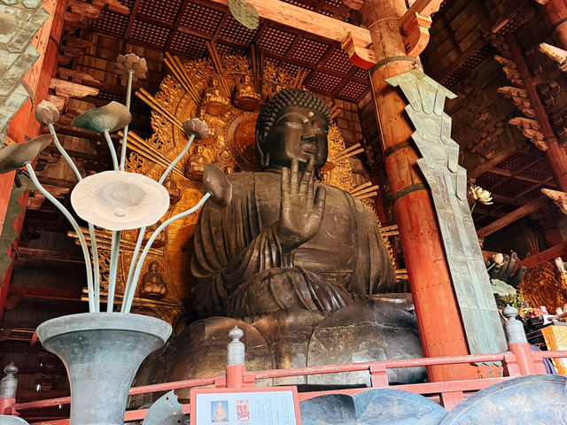 奈良東大寺～穿越千年遇見世界最大木造建築！與鹿共游的佛像奇觀🦌🏯