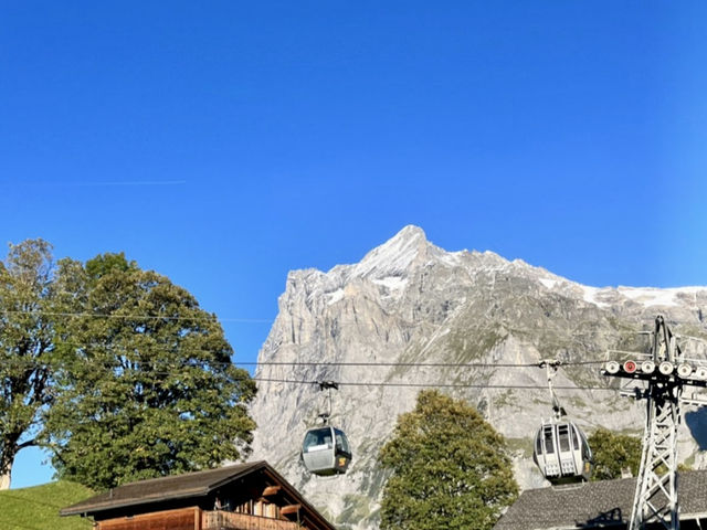 🏔️✨ GRINDELWALD ALPINE WONDER — THE HEART OF SWISS WINTER MAGIC ❄️🤍 