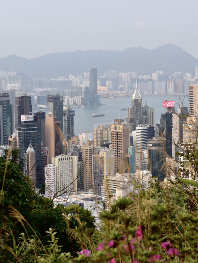 Топ-5 мест в Гонконге, которые обязательно нужно посетить 