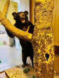 🌿 Vietnam National Museum of Nature — Exploring Vietnam’s Natural Wonders