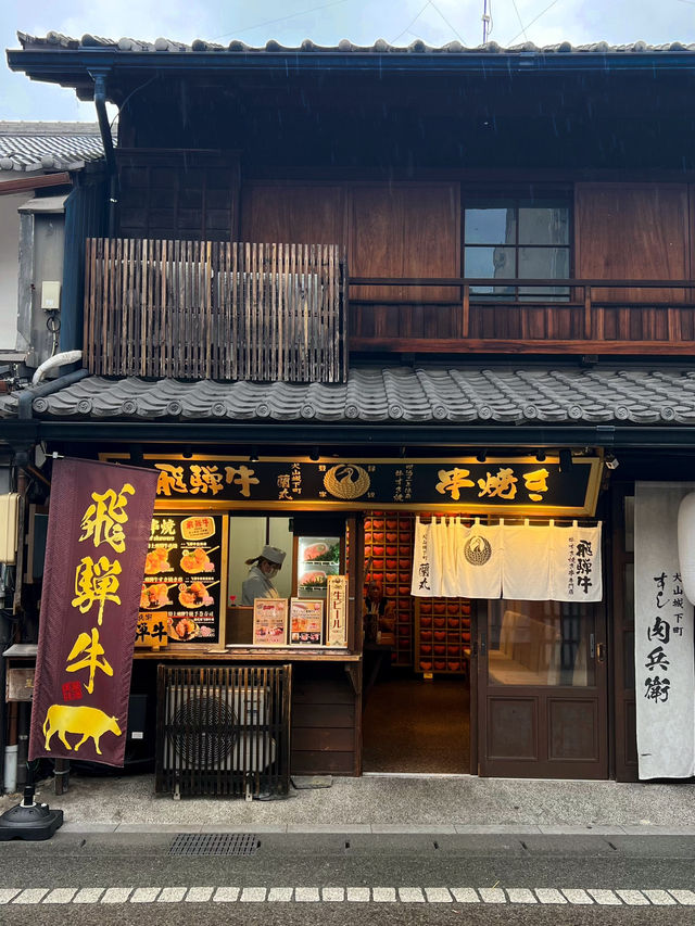 Inuyama Autumn Walk🍁