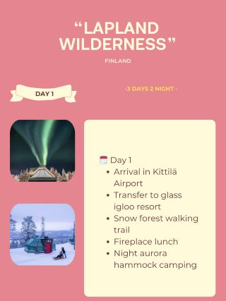 ラップランド・ウィルダネス・ライツ – フィンランド 🇫🇮 (レヴィ)