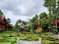 Cafe Oasis Near Phuket Airport: Lotus Leaves, Insta Vibes & Epic Eats 🌿✨