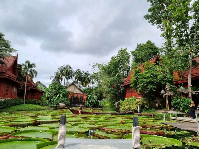 Cafe Oasis Near Phuket Airport: Lotus Leaves, Insta Vibes & Epic Eats 🌿✨