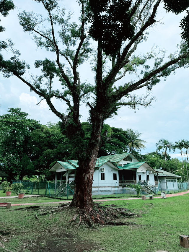 Serene Outdoor Fun at Sematan Park