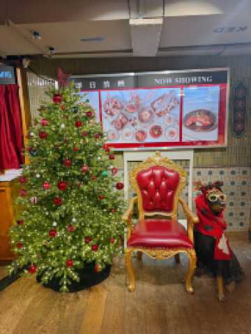 聖誕市集主題自助餐✨🎄🍾