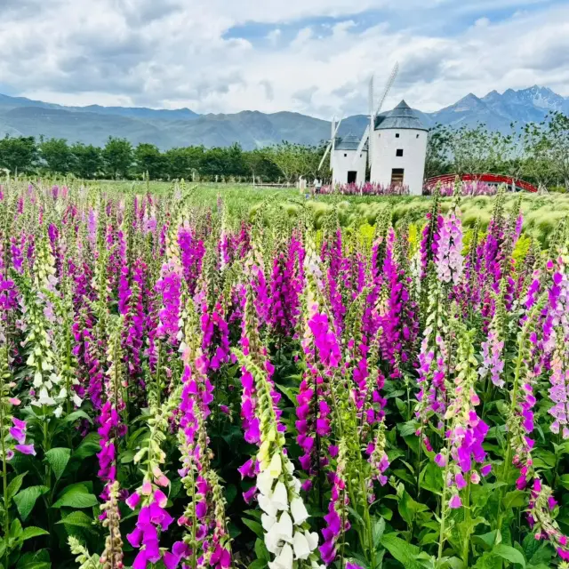 Gentle Escape: Tinghua Valley, Lijiang