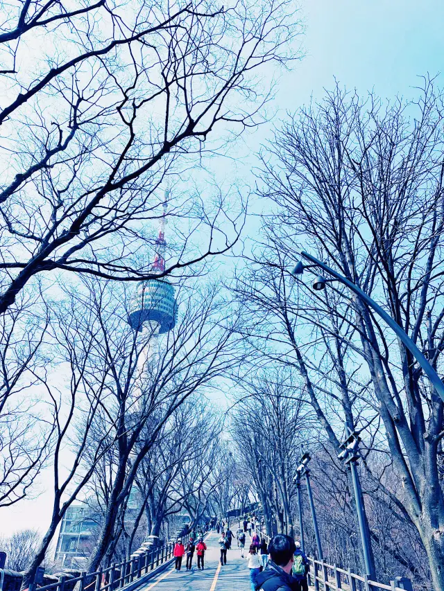 Namsan Tower: City Views Above the Streets
