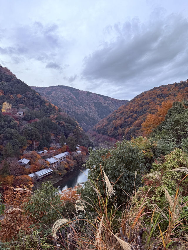 Spent the day in Arashiyama