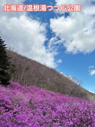 春に彩られる温根湯つつじまつりと癒しの足湯♨️