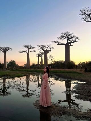 My dream comes true! 💕

Avenue of the Baobabs

This is Madagascar’s superstar for a reason! Those ancient, otherworldly baobab trees are unreal—sunrise and sunset are absolutely magical. My top tip: get there early to avoid the crowds and score the best photos. Bring water and a wide-angle lens if you have one!

Getting Around
In Morondava, hiring a local taxi or arranging a driver via your hotel is clutch for reaching the Avenue since public transport options are scarce. In Xi’an, the metro and Didi rides make exploring super affordable and efficient.

Food & Essentials
Madagascar tip: Try the roadside banana fritters near Avenue of the Baobabs—they’re cheap and super tasty.

Extra Hacks
Bring cash—card acceptance is spotty outside cities in Madagascar.
Pack sunscreen and insect repellent for Morondava.

#MadagascarMagic  #BaobabAvenue  #TravelWithTripdotcom  #BucketListBound 