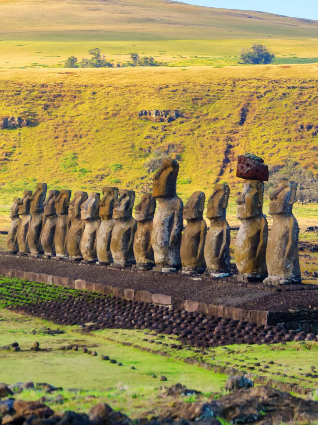 Raksasa Rapa Nui: Ahu Tongariki | Trip.com Pulau Paskah
