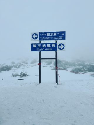藏王雪怪｜日本最神奇的冬季奇觀 