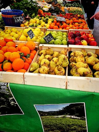 🍅 Vibrant Stalls & Monday Antiques: The Ultimate Cannes Market Guide 🇫🇷
