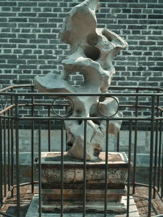 🪨 The Scholar Stones of Qufu | Beauty Hidden in the Courtyards
