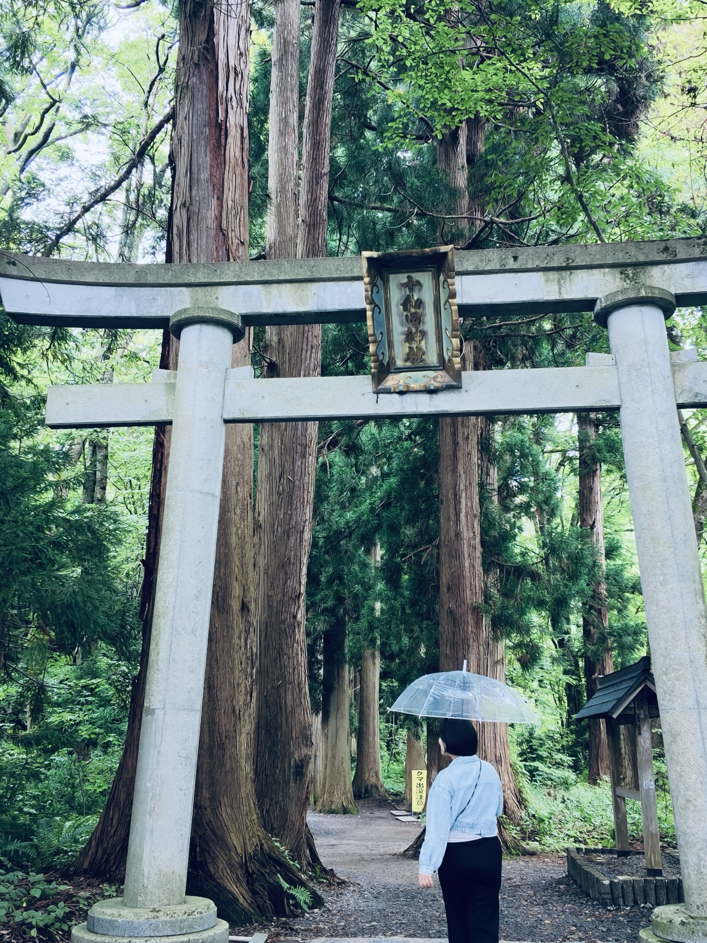 青森十和田湖_「十和田神社⛩️」東北能量最強的參拜地點，此生必來！