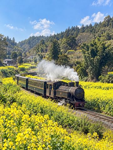 Jiayang Steam Train — A classic vintage steam train ride through valleys and blooming fields.
