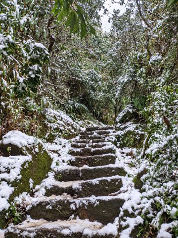 8 Must-Visit Winter Destinations in Taiwan for 2026 | From Hehuanshan to Yangmingshan and Beyond