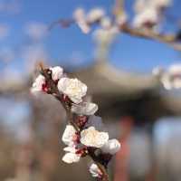 Fenghuangling - Beijing 