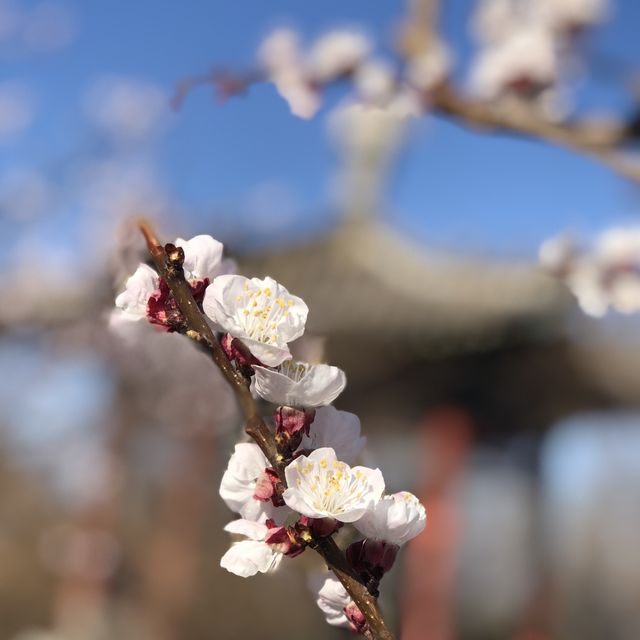 Fenghuangling - Beijing 
