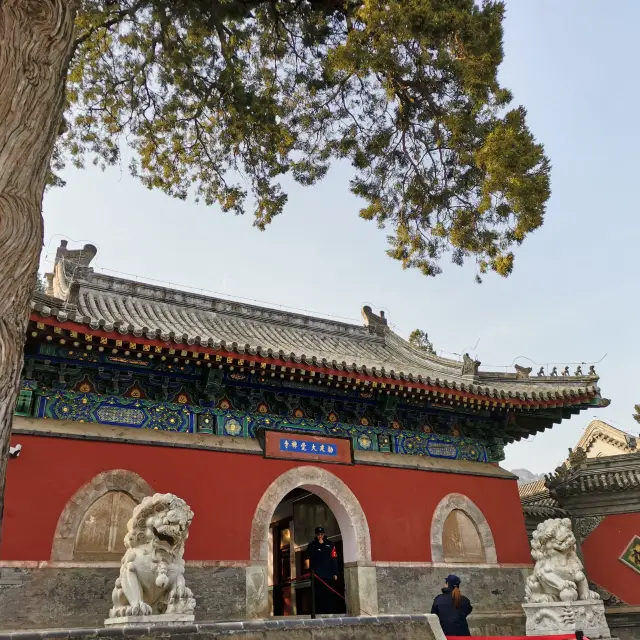北京大觉寺 Dajue Temple 
