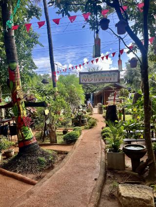 Best Restaurant in Town💚