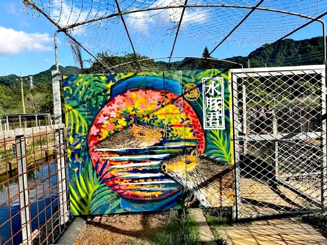 花開了休閒農場