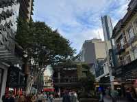 Brisbane: surfer paradise 