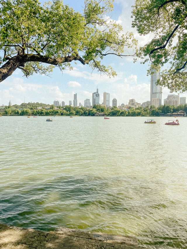 Peaceful Afternoon at Xuanwu Lake 🌿✨