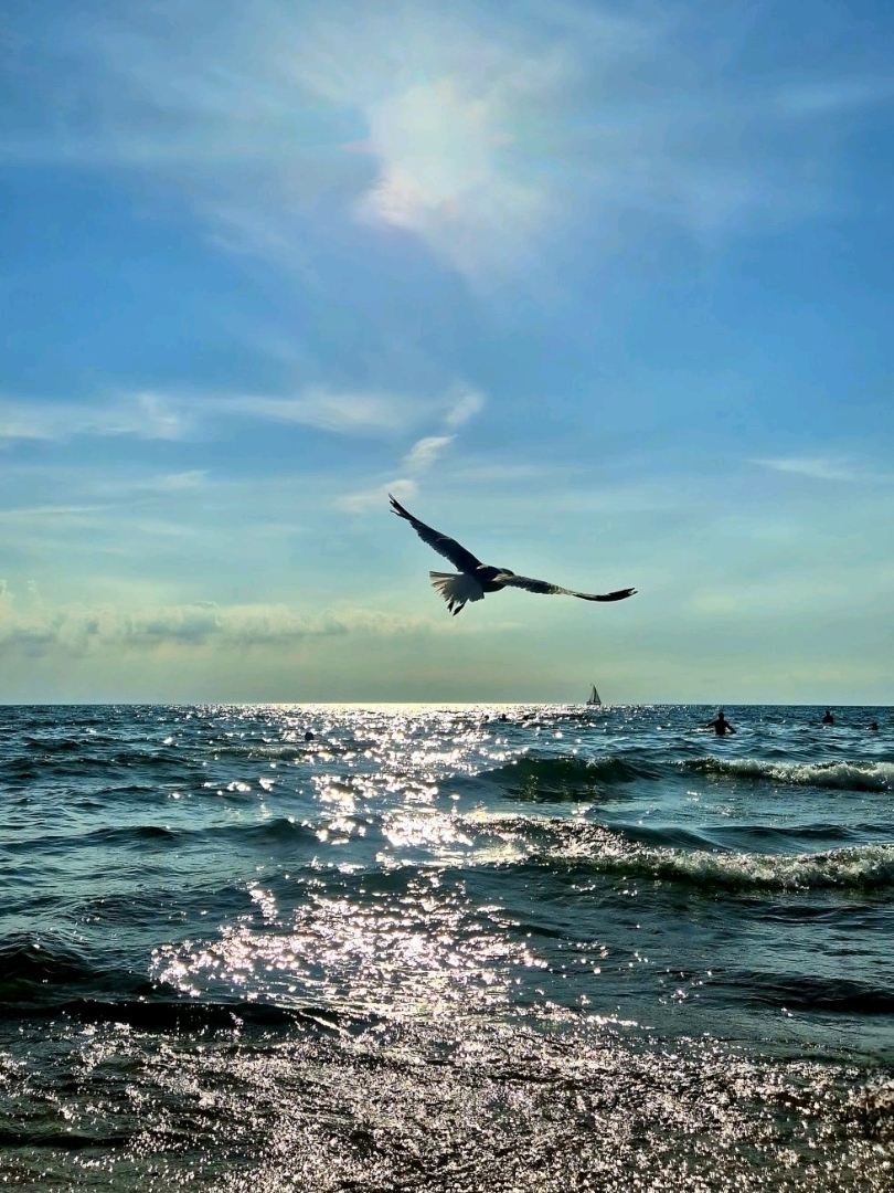 The sea sparkled so much that it matched the name Silver Beach. It is a place where you can swim in Lake Michigan, one of the five Great Lakes in the United States. The water is cleaner than other beaches and the scenery is also prettier. A place where you can swim in a lake that looks like the sea. The sand on the beach is also soft. Drinking alcohol is prohibited on the beach. 

I also recommend the nearby Silver Beach Pizza. It was the most delicious pizza I've ever had in the United States. The pizza with garlic in the name (minced garlic in the ingredients) was especially delicious. Add Schooner beer and try it. The blueberry lemon flavor was really delicious.